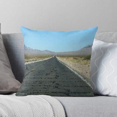Empty Desert Road to Nowhere