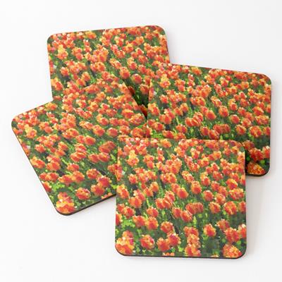 Field of Orange Tulips