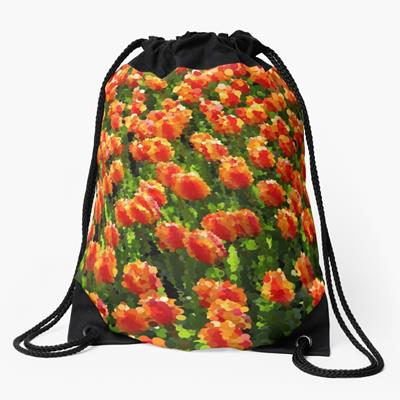 Field of Orange Tulips