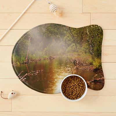 Foggy Forest Pond