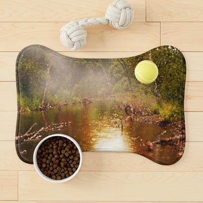 Foggy Forest Pond