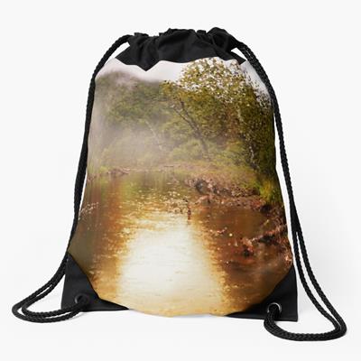Foggy Forest Pond
