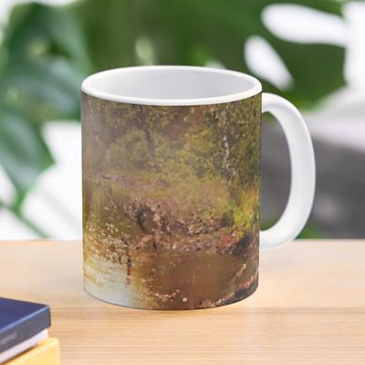 Foggy Forest Pond