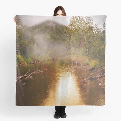 Foggy Forest Pond