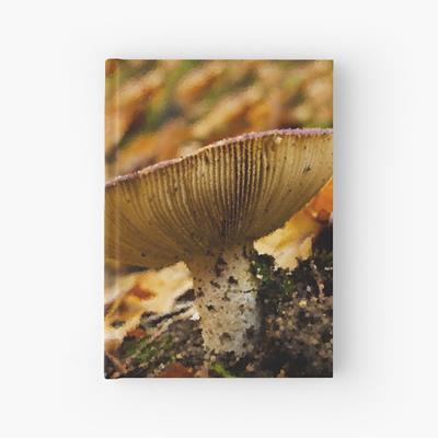Frilled Mushroom