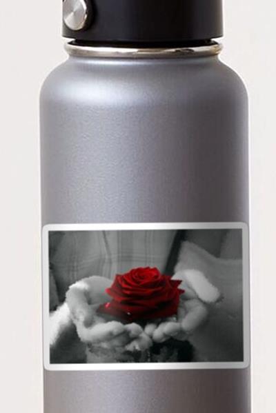 Full Rose in Hands