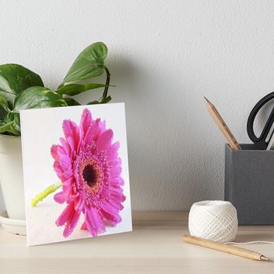 Giant Pink Flower
