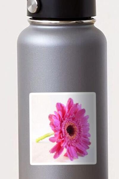 Giant Pink Flower