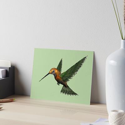 Green and Gold Hummingbird