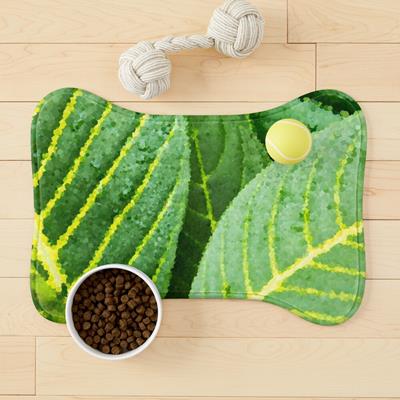 Green and Yellow Leaf Closeup