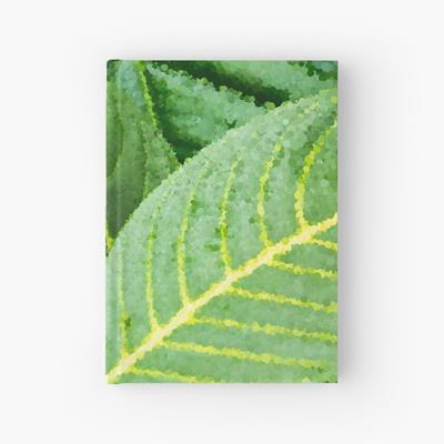 Green and Yellow Leaf Closeup