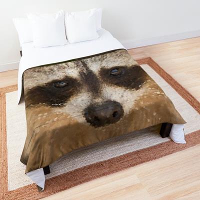 Happy Raccoon Face!