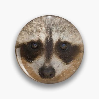 Happy Raccoon Face!