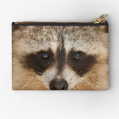 Happy Raccoon Face!