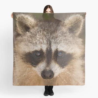 Happy Raccoon Face!