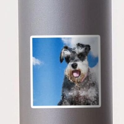 Happy Schnauzer