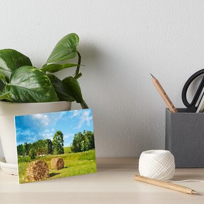 Hay Bales in Grassy Field