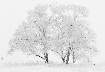 Impressionistic Snow Covered Tree
