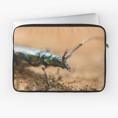 Iridescent Green Musk Beetle