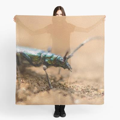 Iridescent Green Musk Beetle