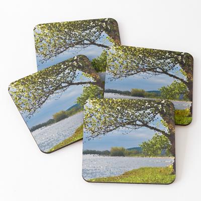 Leafy Tree on River Bank