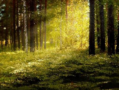 Magical Forest