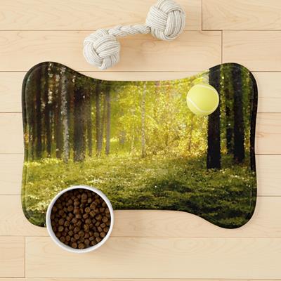 Magical Forest