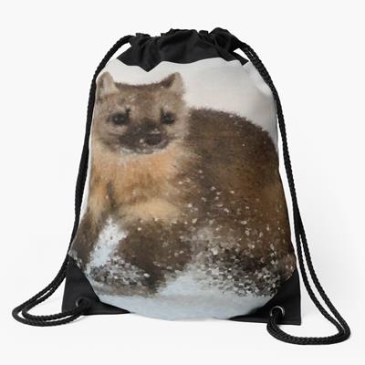 Marten Romping in the Snow