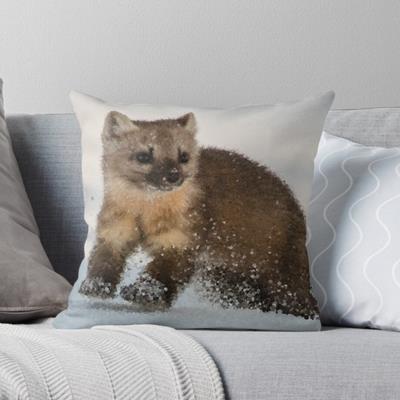 Marten Romping in the Snow