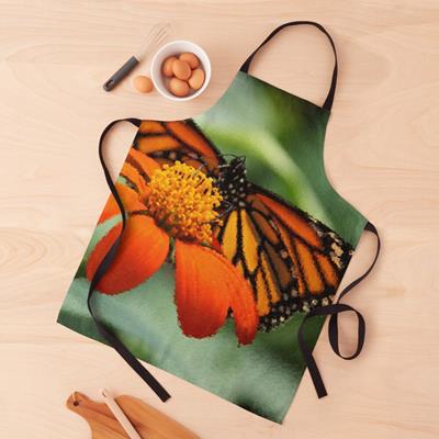 Monarch Butterfly and Flower