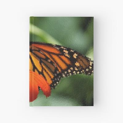 Monarch Butterfly and Flower
