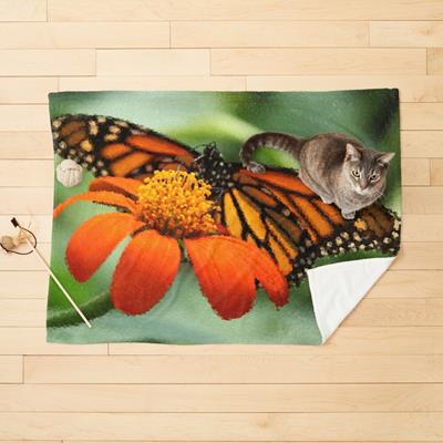 Monarch Butterfly and Flower