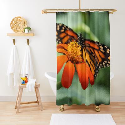 Monarch Butterfly and Flower