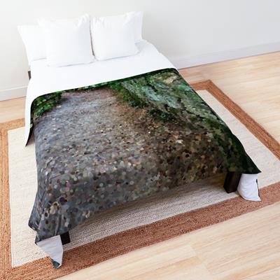 Mossy Stone Fenced Path Through the Woods