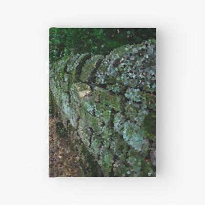 Mossy Stone Fenced Path Through the Woods