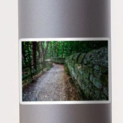 Mossy Stone Fenced Path Through the Woods