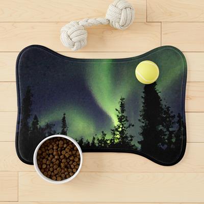 Northern Lights Over Forest