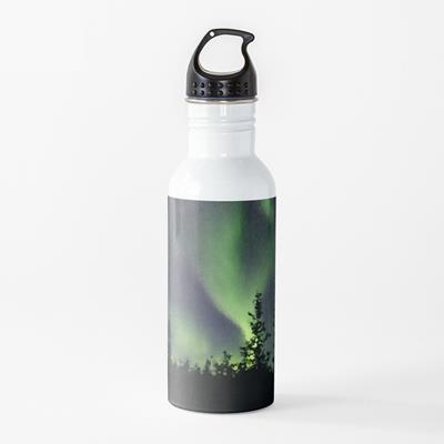 Northern Lights Over Forest