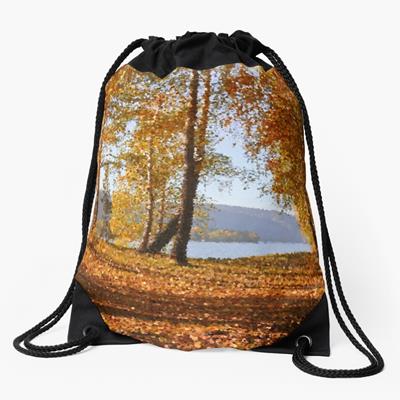 Path Through Fall Foliage