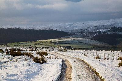 Path Through Snow