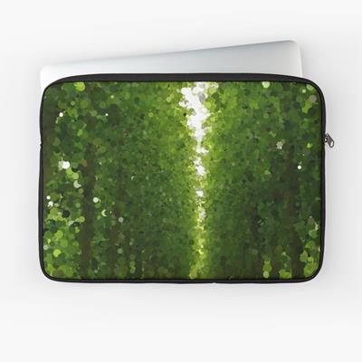 Peaceful Forest Path