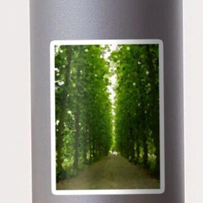 Peaceful Forest Path