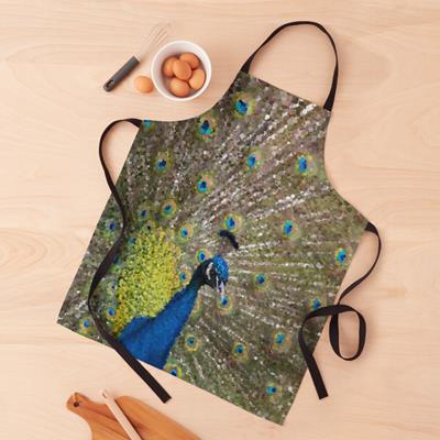 Peacock Plumiage