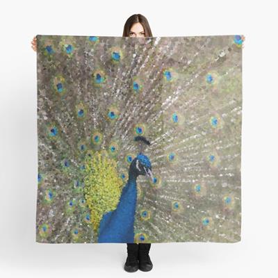 Peacock Plumiage