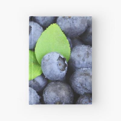 Perfect Plump Blueberries