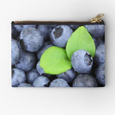 Perfect Plump Blueberries