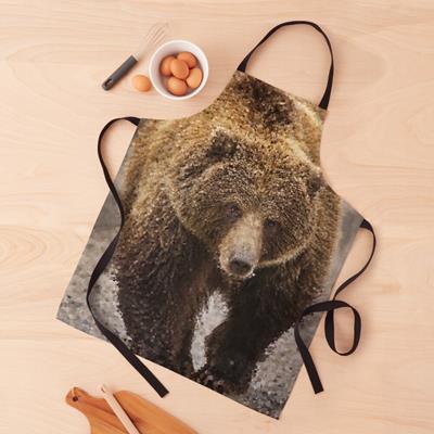 Probably Friendly Bear