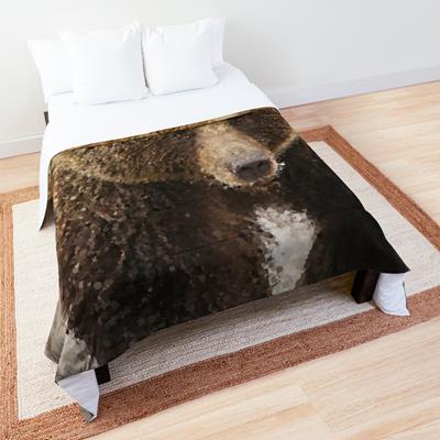 Probably Friendly Bear