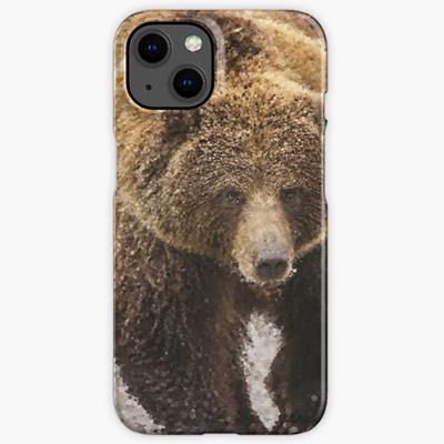 Probably Friendly Bear