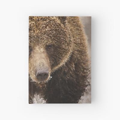 Probably Friendly Bear